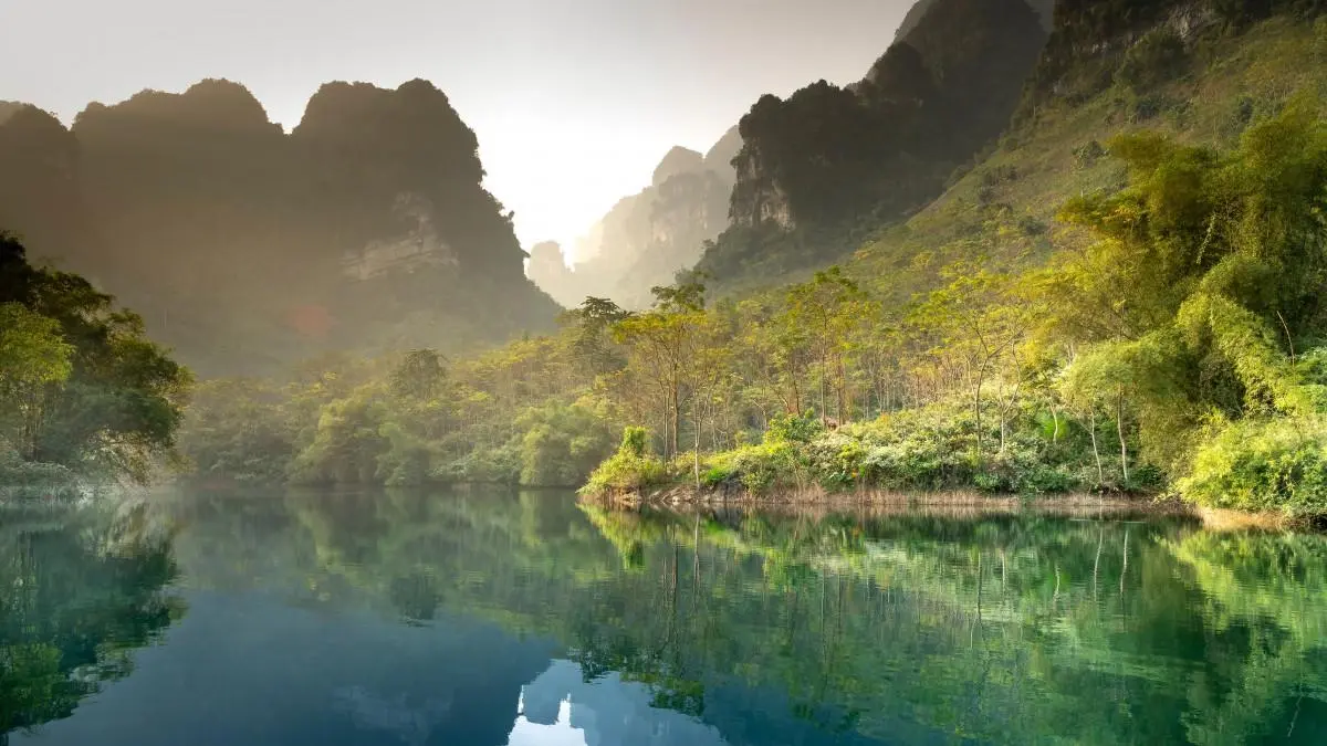 科技稳定性高效